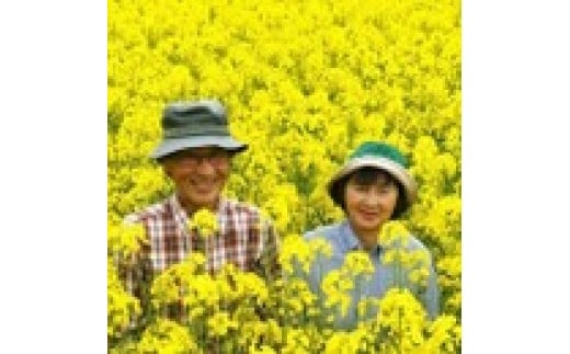 北海道上ノ国町産 無添加・無調整 生一番搾り菜の花油（100g×4本）