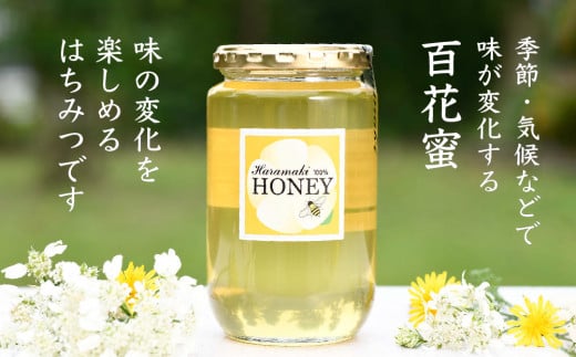 【数量限定】2024年産 国産天然蜂蜜（春の蜜）500g & 470g【合計970g】【蜂蜜 パンケーキ ヨーグルト 甘み フルーティ とろとろ】(H049114)