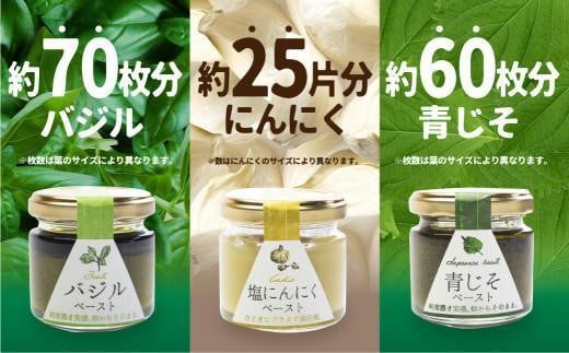 【12月配送（年内お届け）】自然栽培調味料シリーズ 発送時期が選べる バジル 塩にんにく 青じそ ペースト 塩 飛騨高山よしま農園 CK011VC12