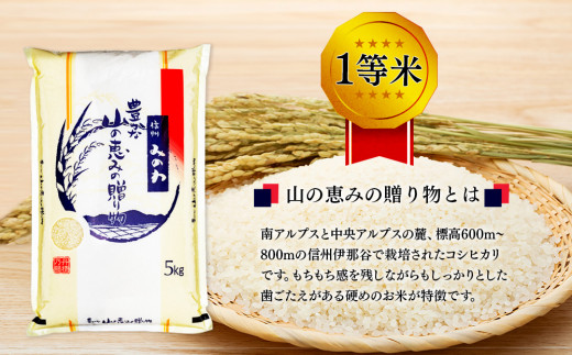 【令和6年度】信州産 コシヒカリ 1等米 「山の恵みの贈り物」 15kg（5kg×3袋） （ お米 コシヒカリ 白米 搗きたて米 低温貯蔵米 食品 )　 [№5675-1085]