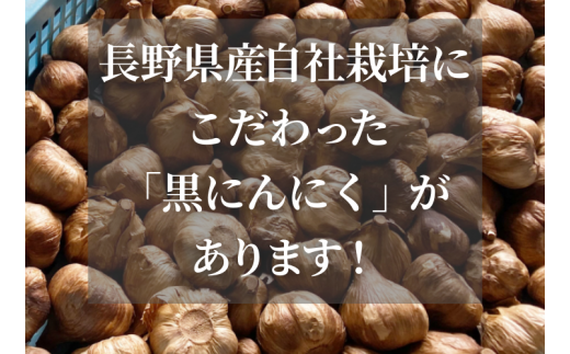 MF02-24B 熟成黒にんにく 訳ありバラ //500g 長野県 南信州 黒にんにく 自家用　信州の環境にやさしい農産物認証制度