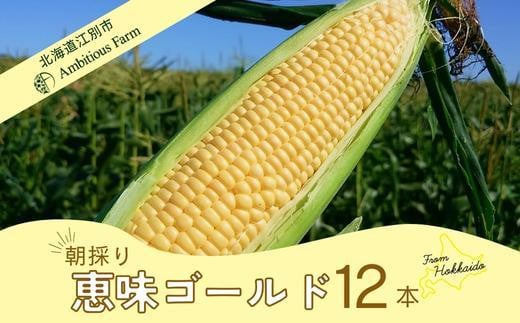 【先行予約】北海道江別産　とうもろこし　恵味ゴールド　(12本）2024年8月より発送開始