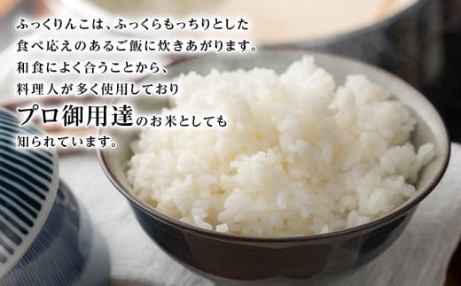 【新米発送・定期便6回】ふっくりんこ 4kg（2kg×2） 《杉本農園》