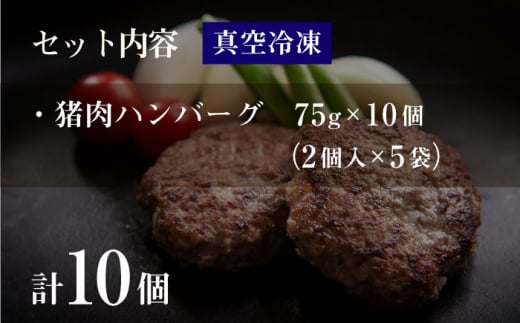 猪肉ハンバーグ750gセット（10個入り 5パック詰め合わせ）長崎県波佐見産 イノシシ肉100%使用【モッコ】 [CE10]