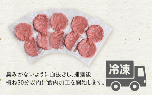 猪肉ハンバーグ750gセット（10個入り 5パック詰め合わせ）長崎県波佐見産 イノシシ肉100%使用【モッコ】 [CE10]