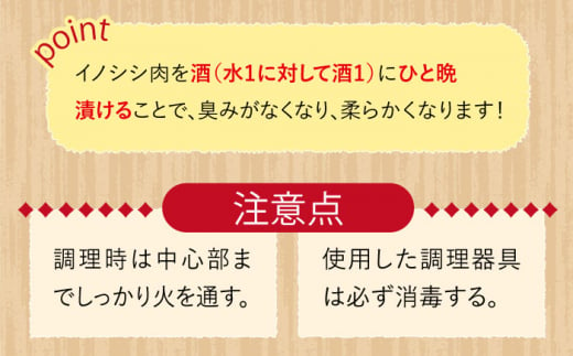 猪肉ハンバーグ750gセット（10個入り 5パック詰め合わせ）長崎県波佐見産 イノシシ肉100%使用【モッコ】 [CE10]