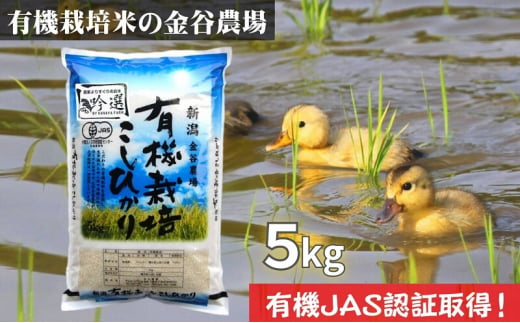 新潟県産JAS有機栽培米コシヒカリ 玄米5kg｜こしひかり コシヒカリ 米 お米 こめ おすすめ 人気 ふるさと納税 有機栽培 新潟 新潟県産 にいがた 上越 上越産