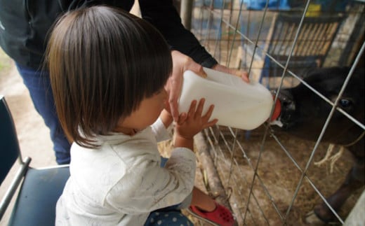 やんばるの自然の中で牧場体験！【3泊朝食付き】（4名様）