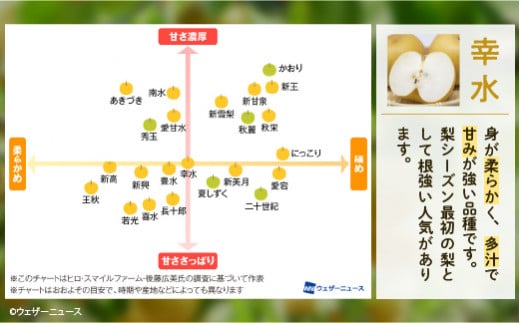 【幸水 約3kg】かまがや育ちの完熟梨（観光組合）