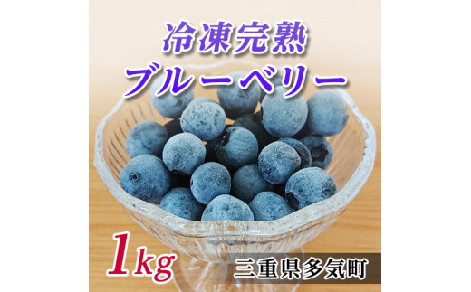 FR-01　無農薬栽培　冷凍完熟ブルーベリー1ｋｇ