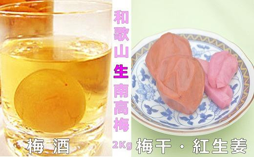 【梅干・梅酒用】（4Lまたは3L－2Kg）熟南高梅＜2025年6月上旬～7月7日発送予定＞フルーツ 果物 くだもの 食品 人気 おすすめ 送料無料【ART10】