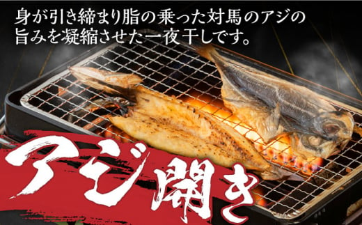 【全6回定期便】対馬 海の幸 干物 セット《対馬市》【対馬地域商社】九州 長崎 海鮮 [WAC028]冷凍 新鮮 魚 イカ あじ 鯵 アジ 剣先いか カマス 穴子 個包装 BBQ 魚介 浜焼き ひもの 朝食 おつまみ もう1品 対馬  定期便 毎月届く