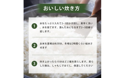 令和7年度産 新米 きぬむすめ 玄米 20kg 先行予約 ＜ 2025年10月中旬