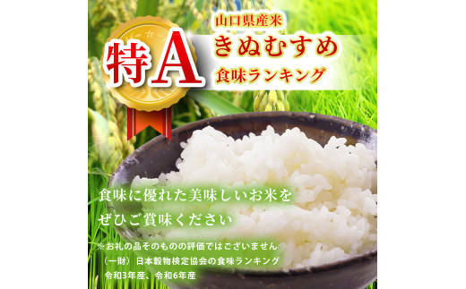 令和7年度産 新米 きぬむすめ 玄米 20kg 先行予約 ＜ 2025年10月中旬