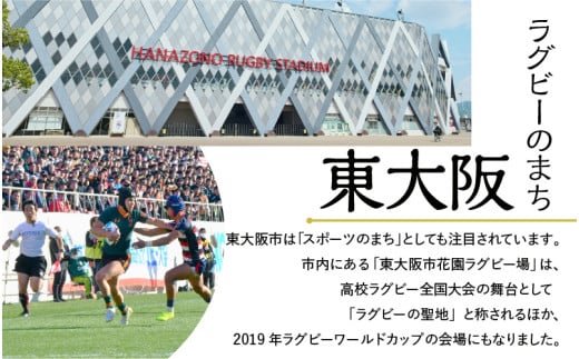 大阪・関西万博入場チケット 通期パス（中人）【2025年日本国際博覧会