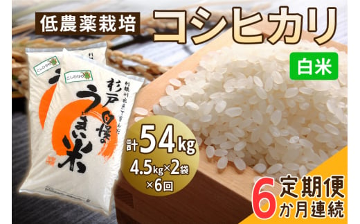 新米 [定期便／6ヶ月] 低農薬栽培のコシヒカリ《白米》計54kg (4.5kg×2袋×6ヶ月連続)｜おいしい お米 コメ こめ ご飯 ごはん 白米 玄米 お取り寄せ 直送 贈り物 贈答品 ふるさと納税 埼玉 杉戸 [0544]