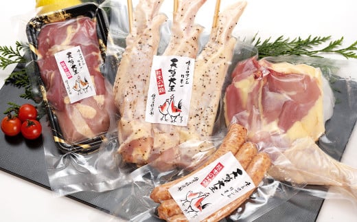 天草大王【アウトドアセット】幻の鶏 キャンプ BBQ 骨付きもも肉 500g !! 大手羽先 ソーセージ ブツ切り セット