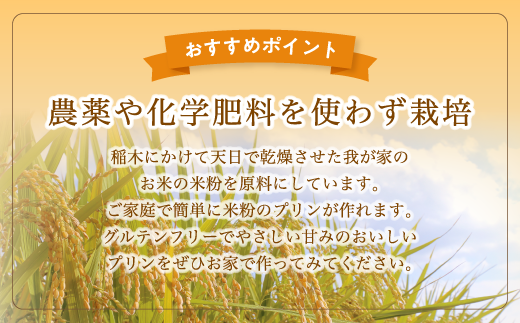 米粉プリンの素 200g（40g×5袋）【 米粉 グルテンフリー プリン 軽食 無添加 簡単 手作り おやつ アレンジ アレンジレシピ スイーツ 個包装 小分け 菓子 お菓子作り 健康 綾部 京都 】