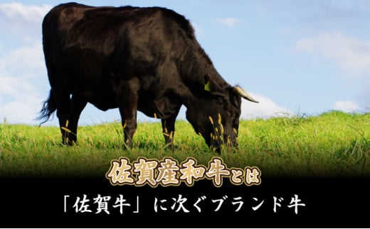 500g【佐賀産和牛】特選カルビ焼肉用　B-1013