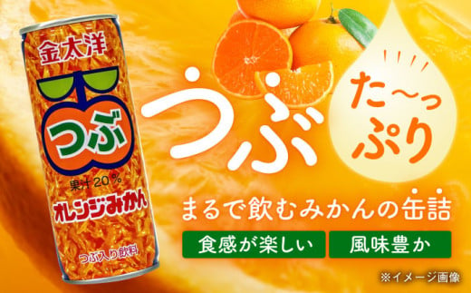 金太洋 つぶオレンジみかん 30缶入り 1ケース 長崎県/太洋食品株式会社 [42ACAD001] みかん ジュース ミカン 缶 長崎 島原 つぶ