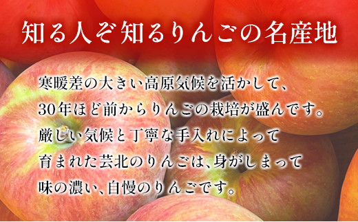 りんご 国産 3kg 農家直送 槇原農園 芸北りんご 林檎 トキ 早生ふじ 千秋 シナノドルチェ シナノスイート ぐんま名月 シナノゴールド ふじ_MA077_001