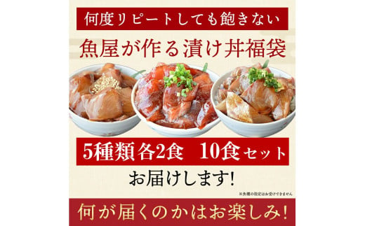 漬け丼 5種×2パック 計10食セット 冷凍 真空パック 小分け 海鮮丼 海鮮セット 詰め合わせ 旬の鮮魚 🐟 ハマチ カンパチ カツオ 鯖 サバ ヒラマサ 平政 マグロ アジ ヒラメ 鯛