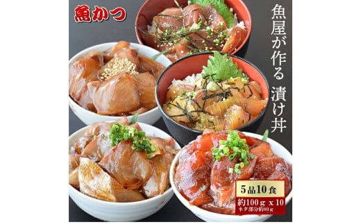 漬け丼 5種×2パック 計10食セット 冷凍 真空パック 小分け 海鮮丼 海鮮セット 詰め合わせ 旬の鮮魚 🐟 ハマチ カンパチ カツオ 鯖 サバ ヒラマサ 平政 マグロ アジ ヒラメ 鯛