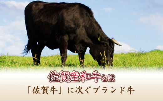 【佐賀産和牛】ハンバーグ 120g×10個  D-607