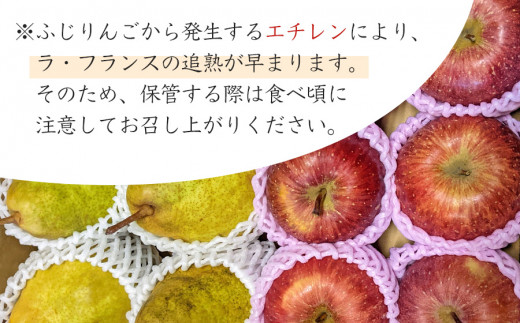 【令和7年産 先行予約】ラ・フランス＆ふじりんごセット　約3kg（10～12玉入）庄内産直センター