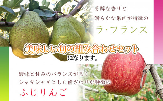 【令和7年産 先行予約】ラ・フランス＆ふじりんごセット　約3kg（10～12玉入）庄内産直センター