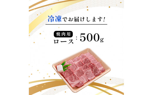 国産牛肉 京都姫牛 ロース焼肉用 500g 【 冷凍 国産 牛肉 牛 和牛 ロース 焼き肉 BBQ バーベキュー お祝い 誕生日 記念日 お取り寄せ プレゼント 贈り物 贈答 ギフト グルメ 簡単 京都 綾部 】