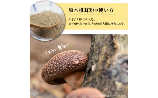 天然のうま味調味料「九州産原木椎茸粉」40g×3袋 N0155-YZA0189