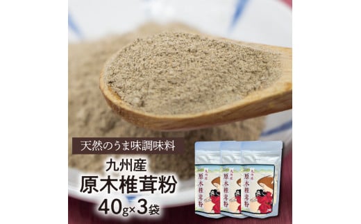 天然のうま味調味料「九州産原木椎茸粉」40g×3袋 N0155-YZA0189