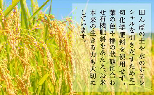 【 令和7年産 新米 】【先行予約】 受賞米 こめたらぎ にこまる 精米 10kg (5kg×2袋) 米 お米 10月中旬～発送 グランプリ受賞 白米 精米 ご飯 こめらたぎ にこまる 名産地 多良木町産 ふっくら 044-0507-a