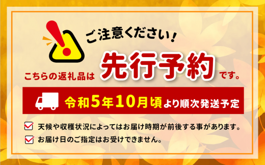 【定期便3回】シャインマスカット 約2kg ×3回 長野県産 <10月・11月・12月発送＞