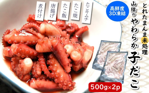 とれたまんまを急速冷凍　やわらか子ダコ(冷凍)500g×2袋 1kg 国産小だこ生 真空パック【1413632】