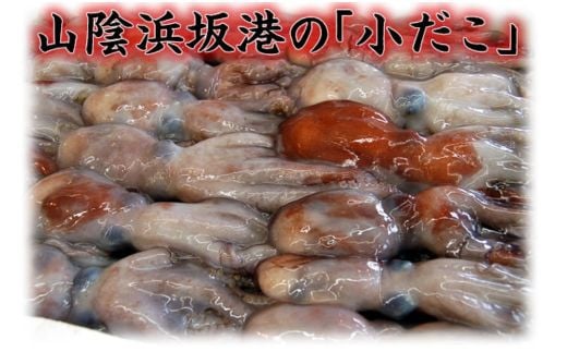 とれたまんまを急速冷凍　やわらか子ダコ(冷凍)500g×2袋 1kg 国産小だこ生 真空パック【1413632】