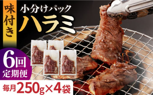 国産 牛肉 ハラミ 牛ハラミ はらみ 小分け 味付き サガリ 焼肉 焼き肉 塩 しお 冷凍 焼肉  定期便 ていきびん 定期