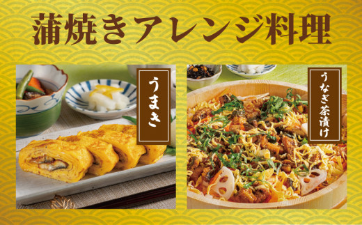 国産うなぎ蒲焼き タレ・山椒付き 2枚 約100g×2 うなぎ 鰻 蒲焼 うな重 鰻丼 うな丼 ひつまぶし 土用の丑の日 土用丑 魚 海鮮 魚介類 肉 冷凍 真空パック 個包装 小分け おつまみ おかず 惣菜 ビール 酒 焼酎 日本酒 ウイスキー チューハイ お取り寄せ ギフト プレゼント 贈答 贈答用 贈り物  お中元 お歳暮 母の日 父の日 敬老の日 千葉県 銚子市 有限会社石毛川魚店
