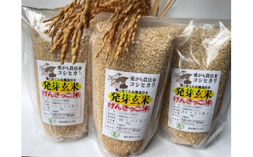 米 JAS有機発芽玄米アイガモ農法コシヒカリ（1kg×3） お米 玄米 コシヒカリ 新潟 上越