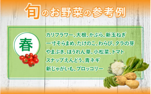 鯖街道からお届け 季節の新鮮 野菜セット 8種以上 