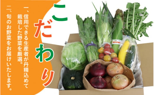 鯖街道からお届け 季節の新鮮 野菜セット 8種以上 