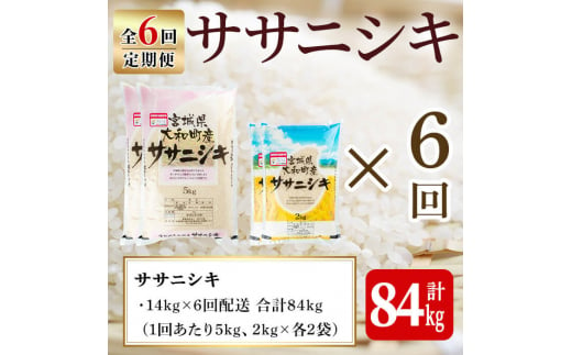 【令和6年産】＜6か月定期便＞特別栽培米 ササニシキ 14kg×6回(合計84kg) お米 おこめ 米 コメ 白米 ご飯 ごはん おにぎり お弁当 頒布会【農事組合法人若木の里】ta253