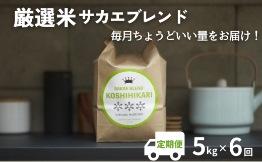 ついに出ました厳選米サカエブレンド定期便 限定発売！毎月ちょうどいい量をお届けます!5kg毎月お届け(6回)（令和6年産）