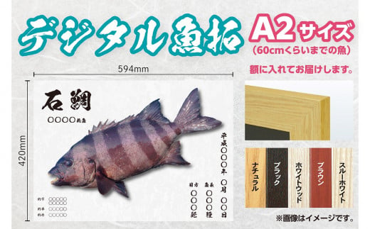 CM-012 【A２・デジタル魚拓】メモリアルフィッシュを釣れたてのままに。