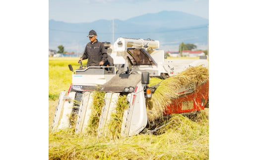 51-A 会津坂下町産 特別栽培米コシヒカリ 20kg(5kgx4) 白米 FARMiliarほり の 「もぉ～うん米」