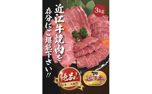 【3月お届け】【近江牛 焼肉用セット(肩ロース・バラ 3kg)】肉 牛肉 ブランド牛 三大和牛 和牛 黒毛和牛 国産 バーベキュー 贈り物 ギフト プレゼント 冷凍 滋賀県 竜王