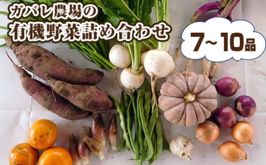 No.058 ガバレ農場の季節の有機野菜詰め合わせセット  