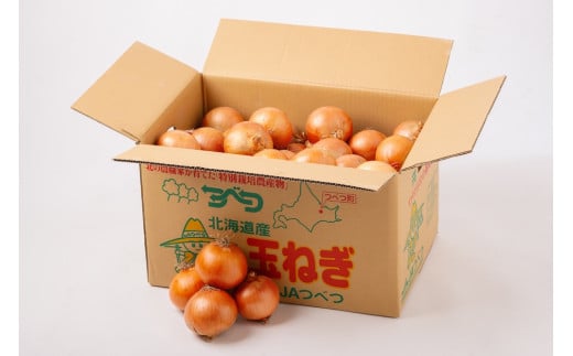 R6年産　玉ねぎ　20kg　特別栽培/011-13054-b01B　【　玉ねぎ　タマネギ　たまねぎ　玉葱　オニオン　カレー　肉じゃが　ハンバーグ　焼肉　BBQ ソテー　スープ　グラタン　シチュー　野菜　常備野菜　長期保存　北海道　産地直送　津別町　オホーツク　道東　ふるさと納税　人気　ランキング　数量限定　】