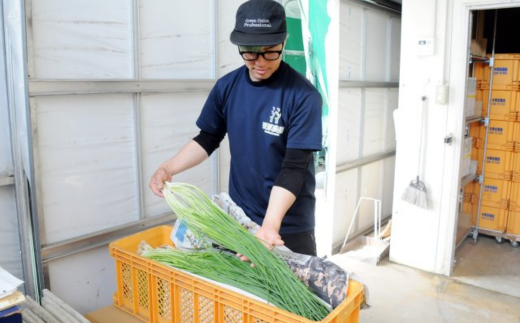 小ネギ農家の本格ネギキムチ (徳用５００ｇ × １袋）　手作り化学調味料無添加【キムチ ネギキムチ キムチ鍋 ネギ農家 豆腐 サムギョプサル キムチスープ キムチチャーハン 卵 冷蔵 こくうま 旨辛 うまから チゲ 韓国料理 シャキシャキ】